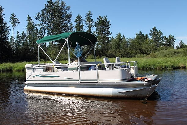 A pontoon boat with a green canopy is floating on a river
