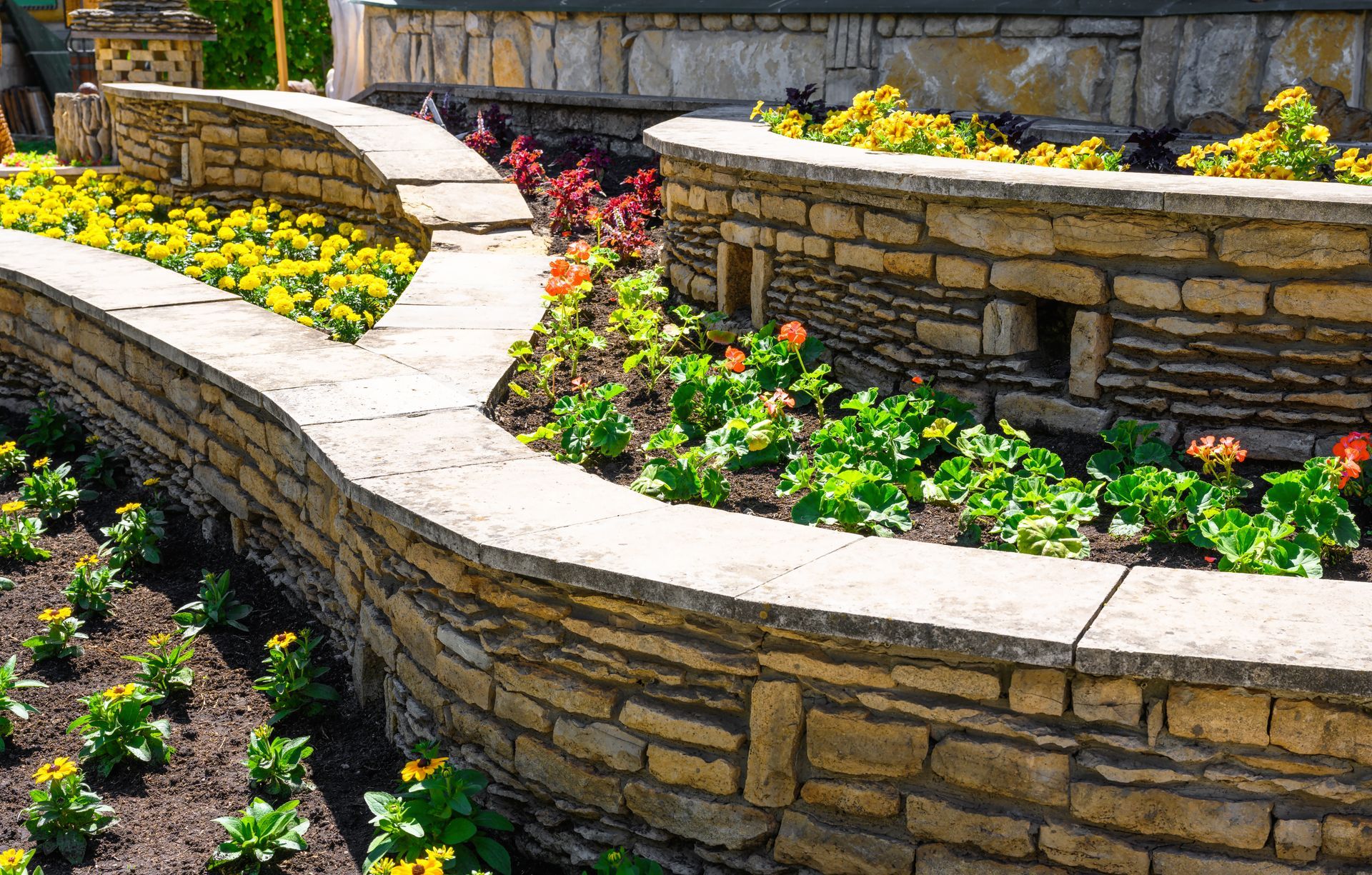 Stone retaining walls with vibrant flowers and a path.