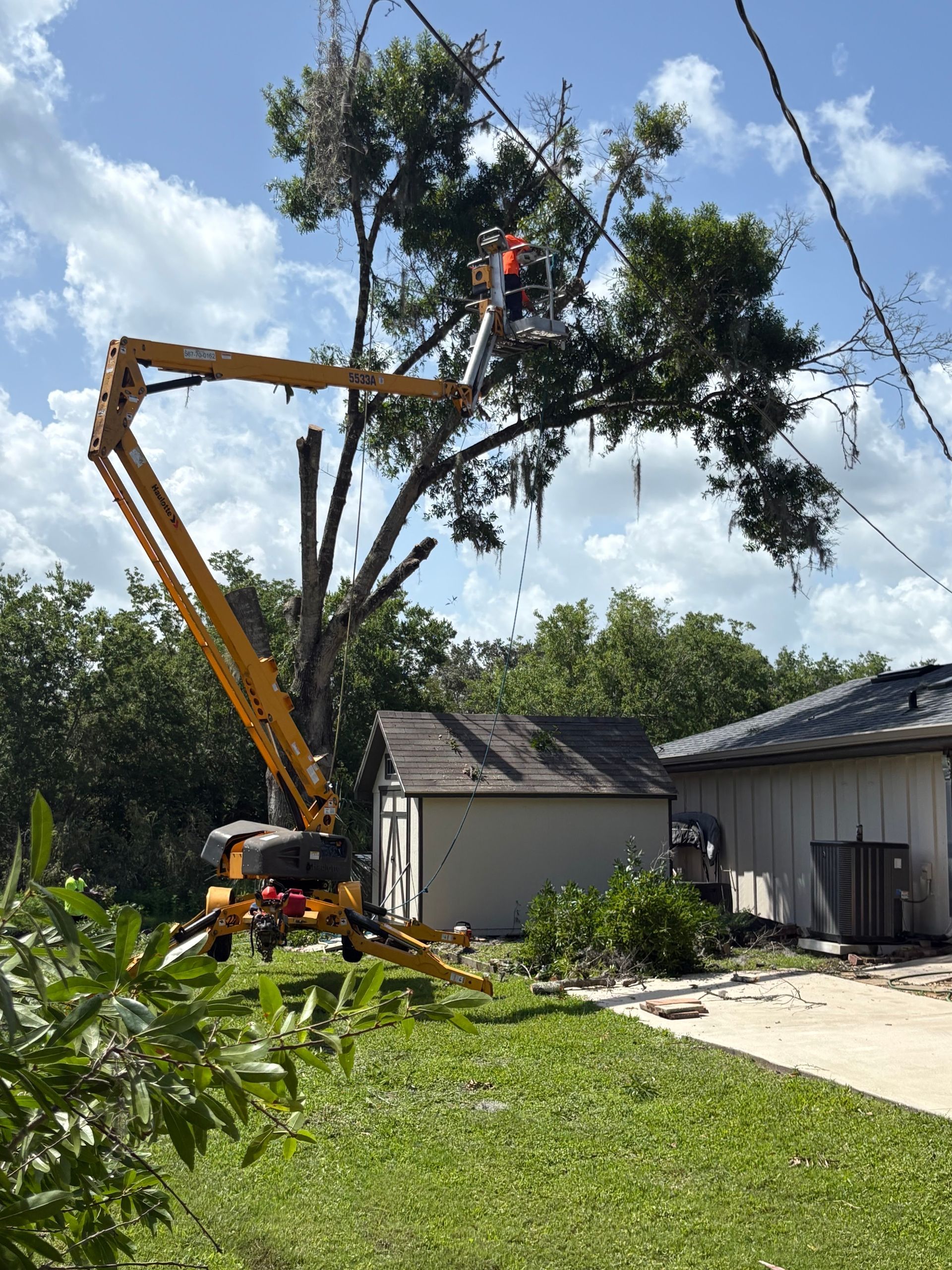 Tree removal truck lifting a large tree limb beside a house on a sunny day