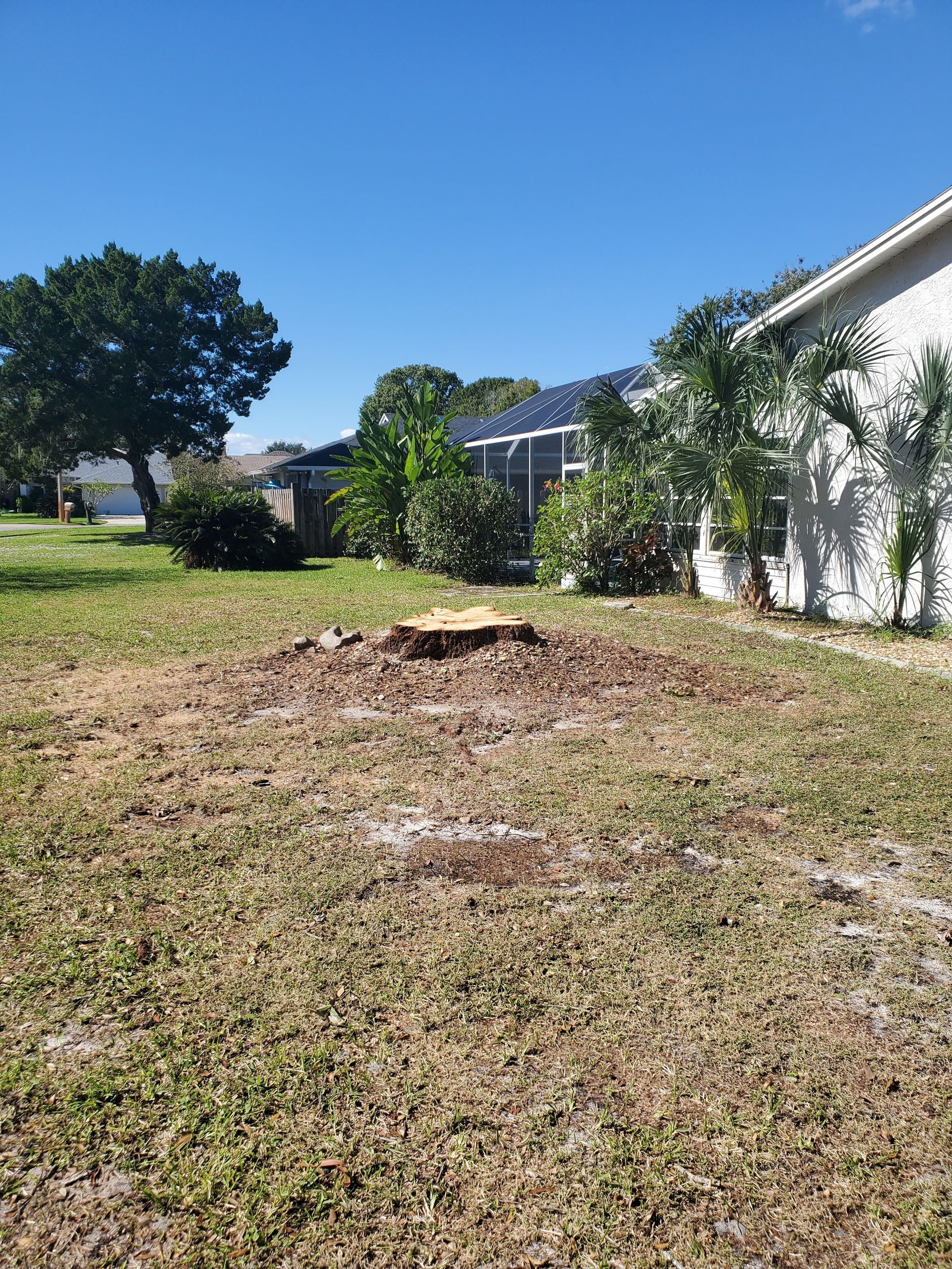 Sunny backyard with a tree stump, patchy grass, and a house beside a white fence under a blue sky