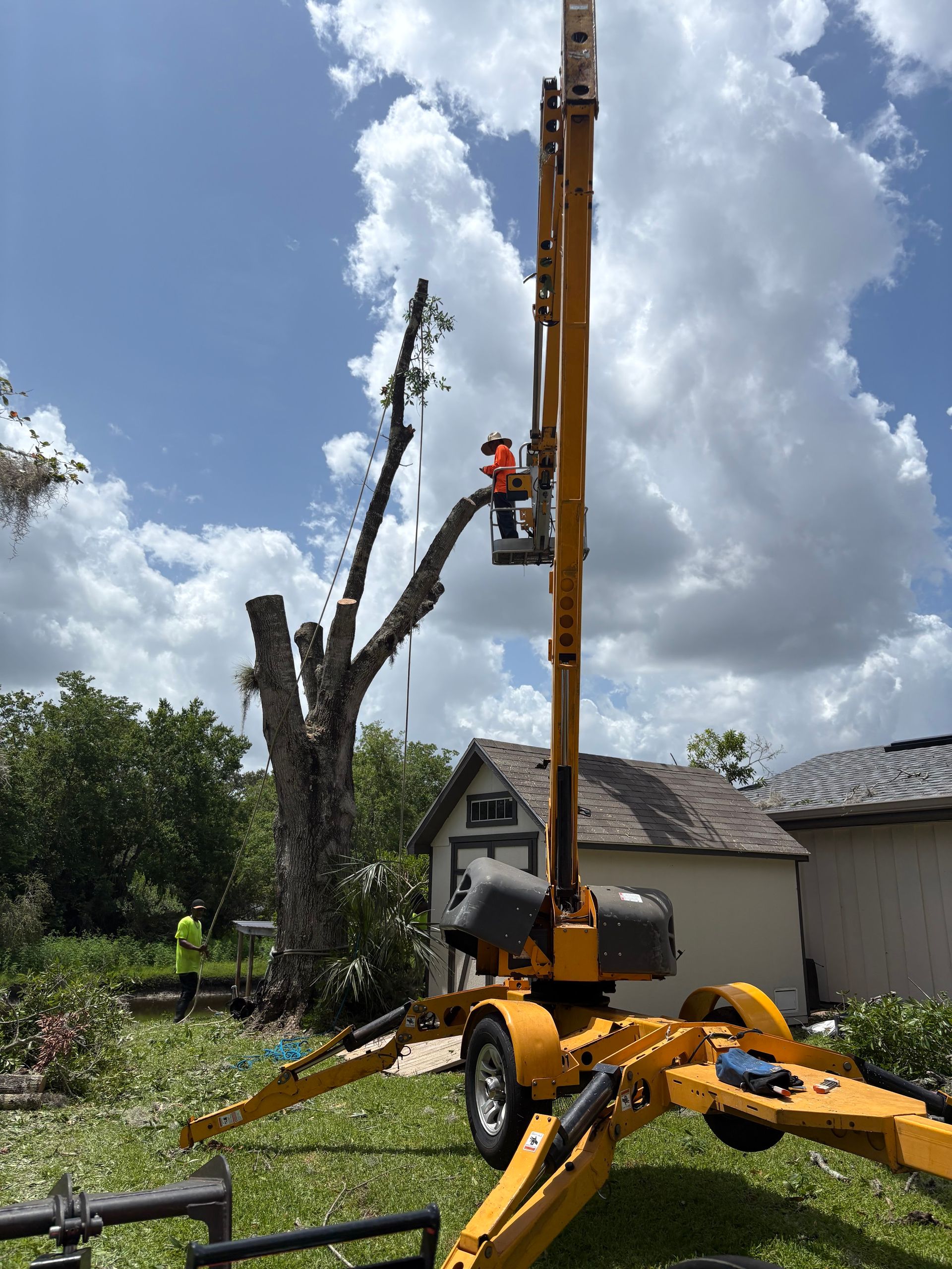 Tree-trimming crew in a yellow crane lift pruning a tall dead tree beside a house in a grassy yard