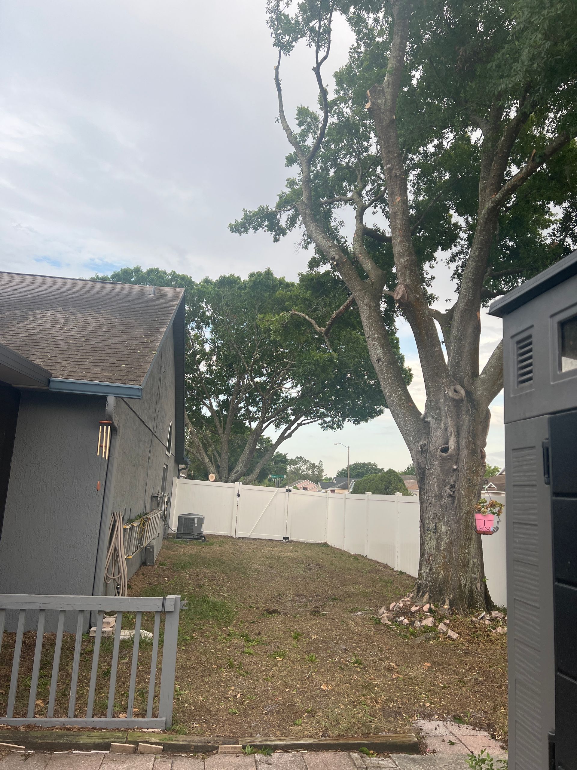 Backyard with large tree, white fence, and side view of a house under cloudy sky