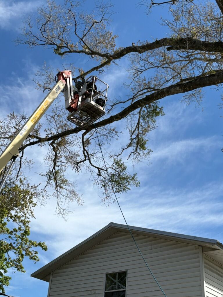 Bucket truck crew trimming tree branches over a house