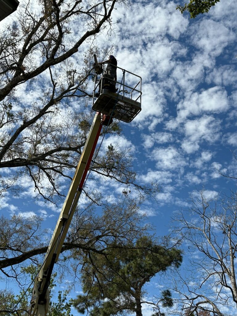 A worker in a lift basket trims trees against a blue sky with scattered clouds.