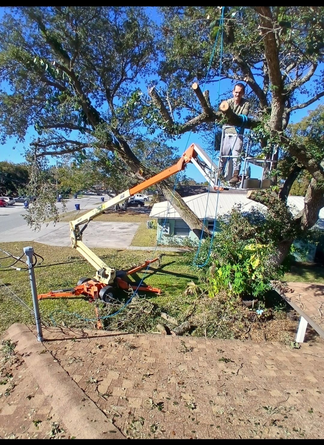 Worker trimming tree branches with an orange lift in a sunny yard