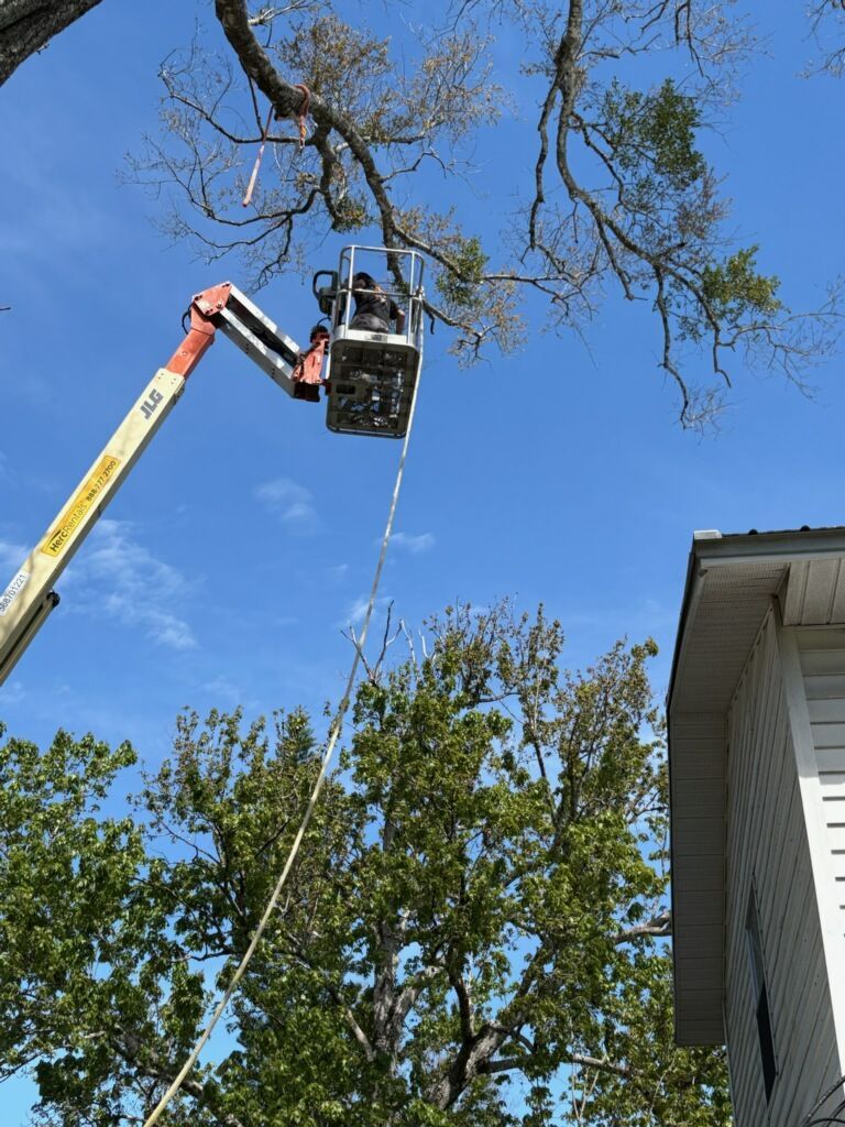 Utility worker in a bucket lift trimming tree branches beside a house under a clear blue sky