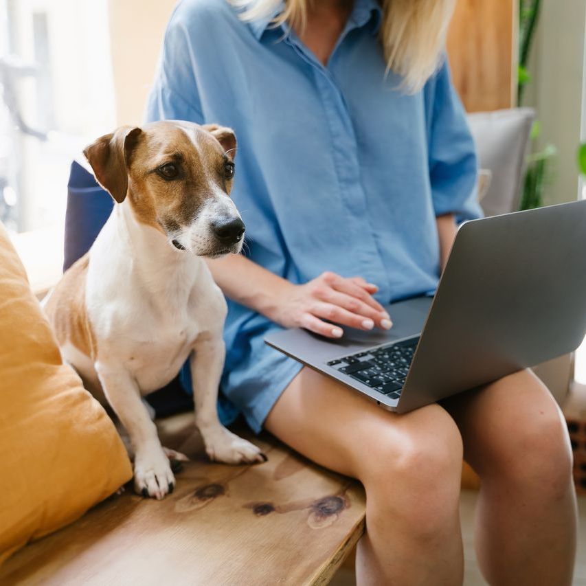 lady with her dog on a laptop
