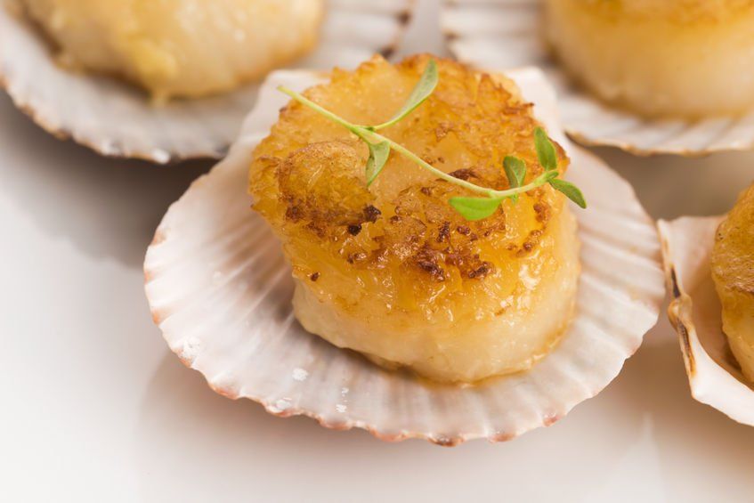 Seared Scallop in Shell