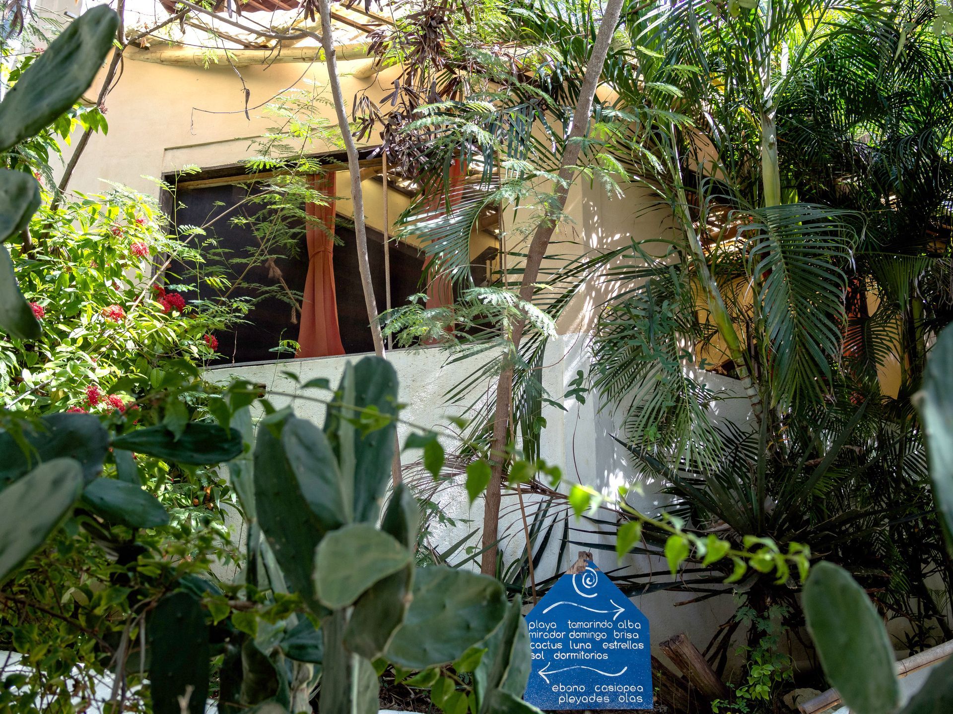 Jardín con cactus y palmeras en posada del arquitecto en mazunte, oaxaca