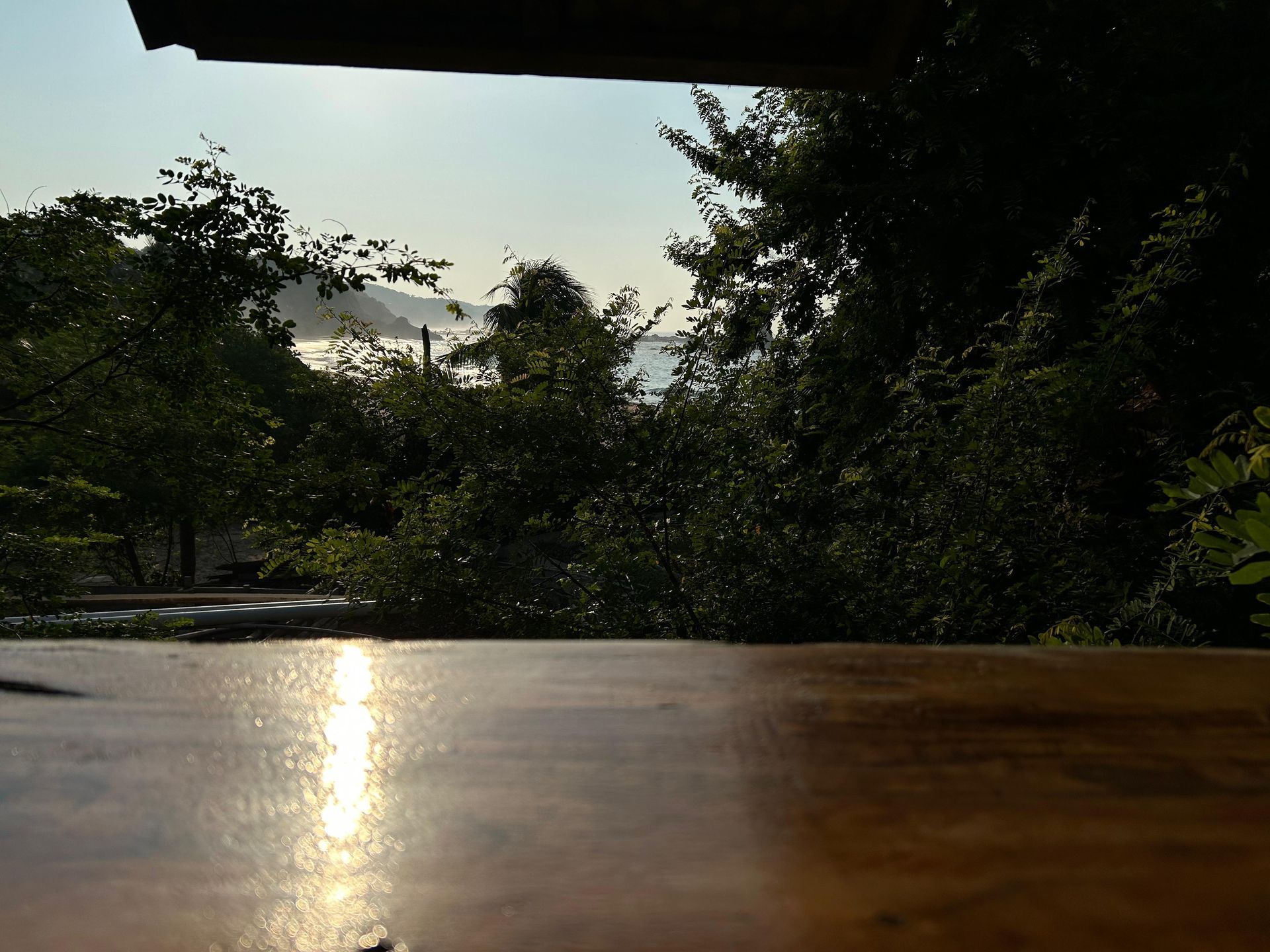 Mesa de madera que refleja la luz del sol, con vistas a los árboles en posada del arquitecto en mazunte, oaxaca