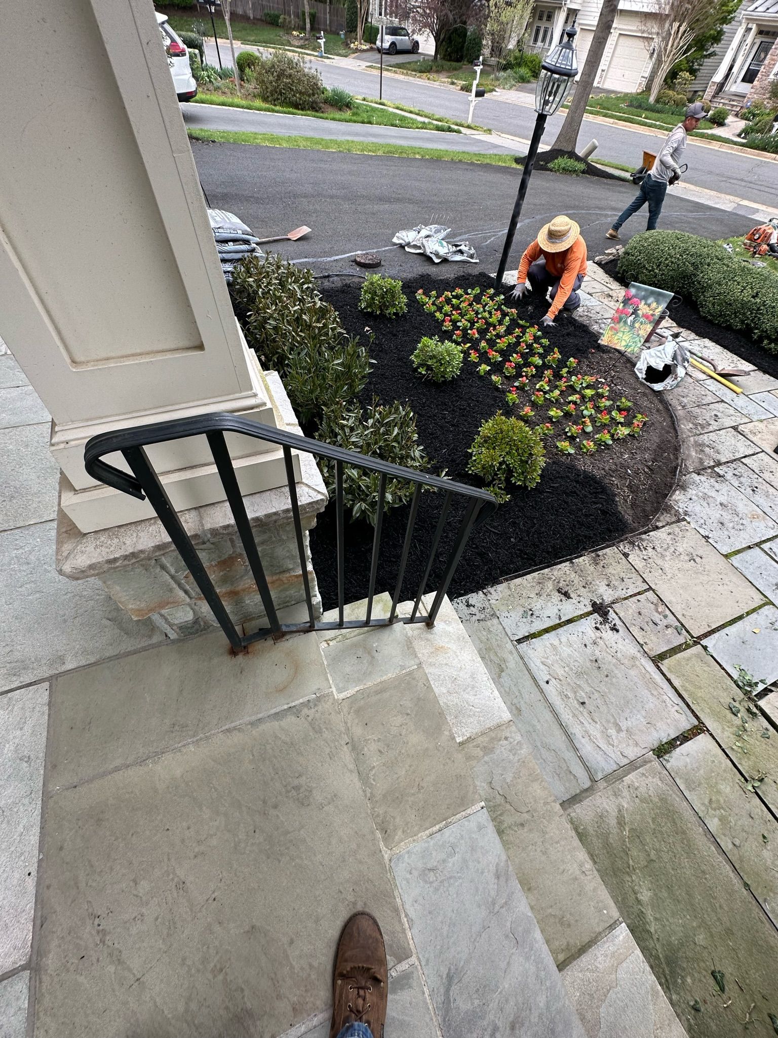 A person is standing on the steps of a house looking at a garden.