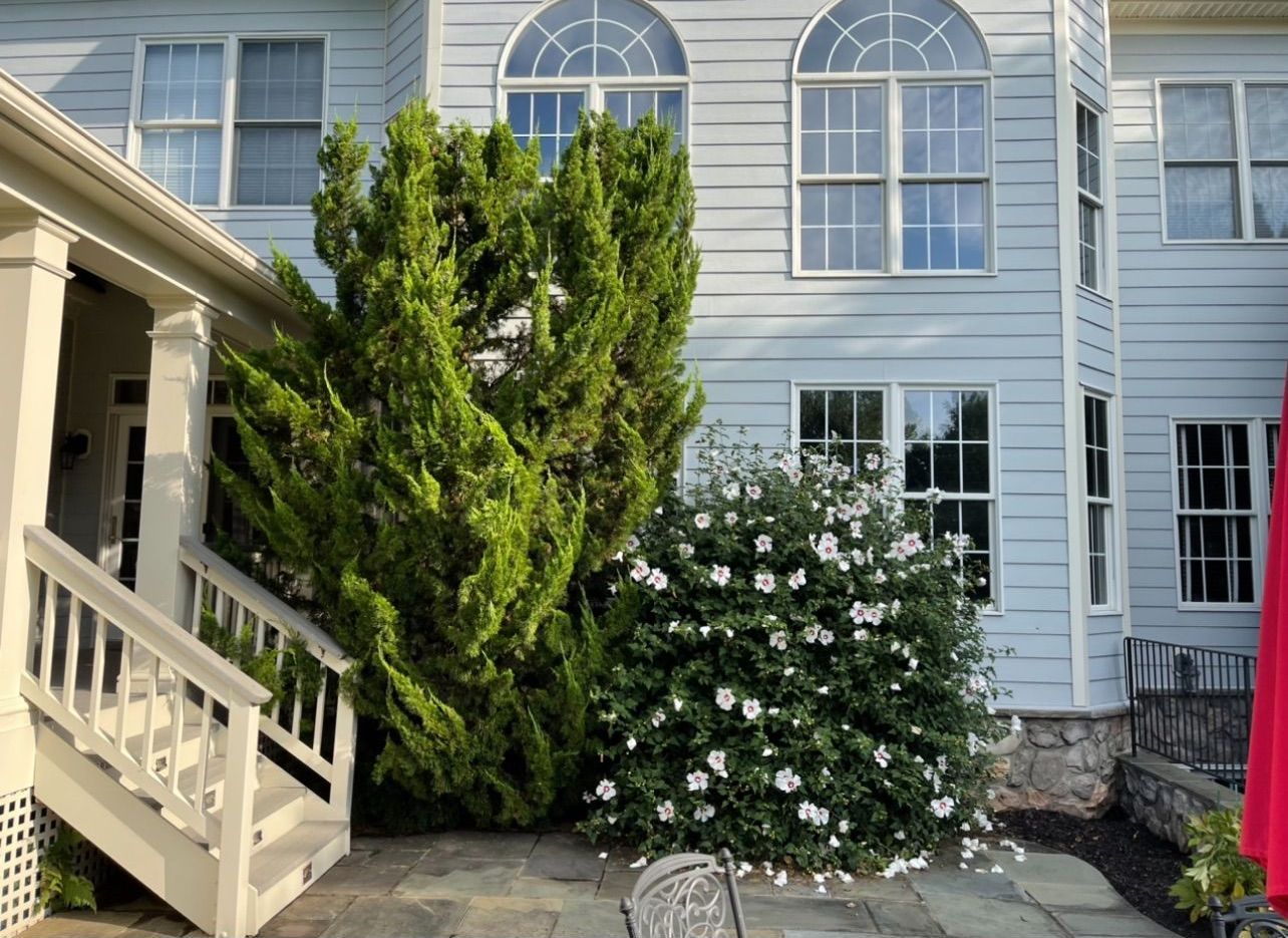 A white house with a red umbrella in front of it
