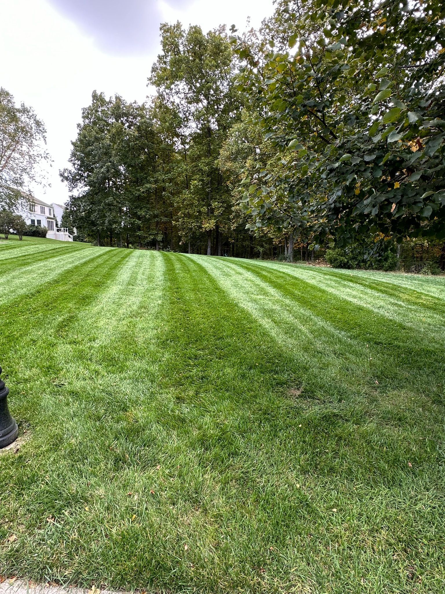A person is mowing a lush green lawn with trees in the background.