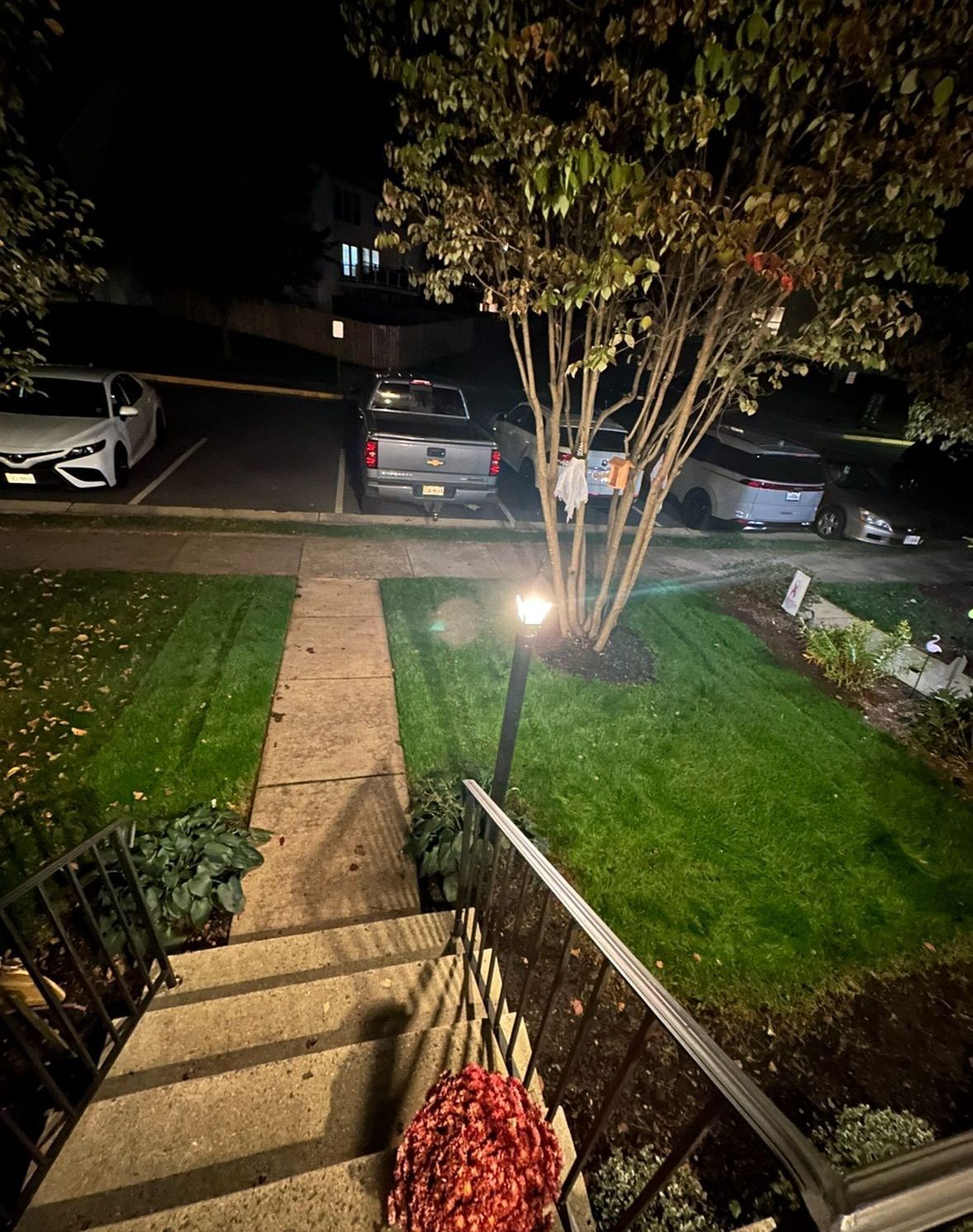 A car is parked in a parking lot next to a tree at night.