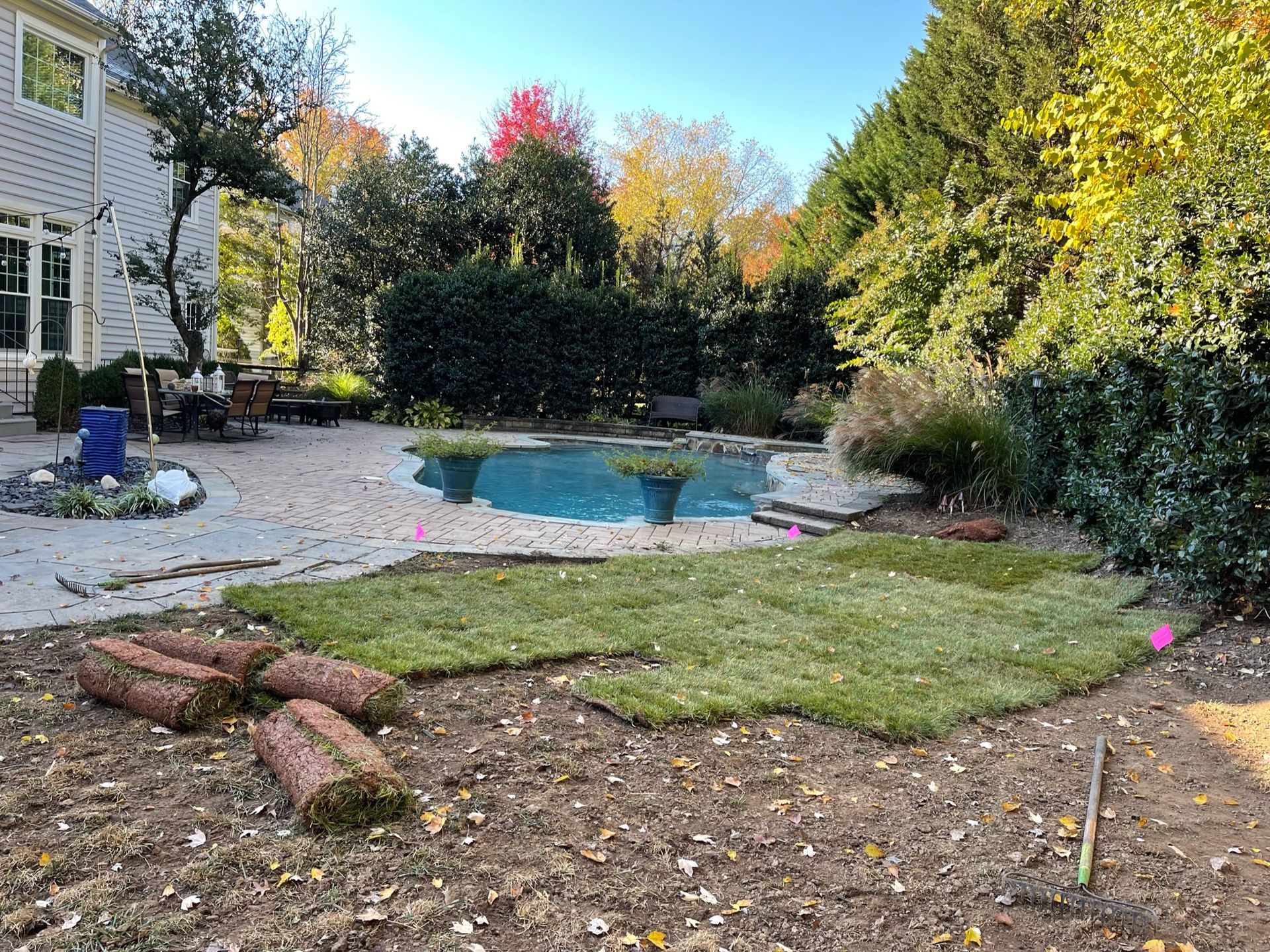 A lawn with a pool in the background and a house in the background.