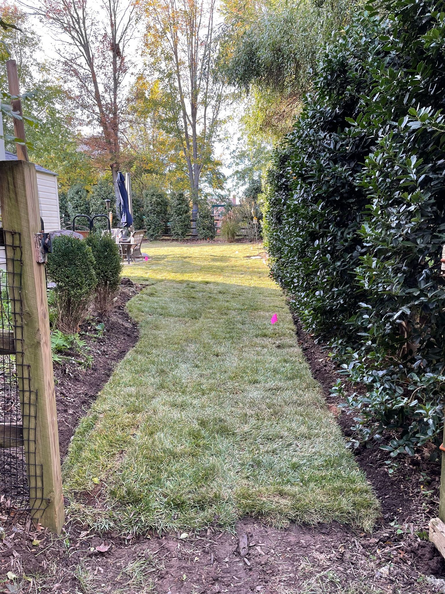 A person is standing in the middle of a lush green field.