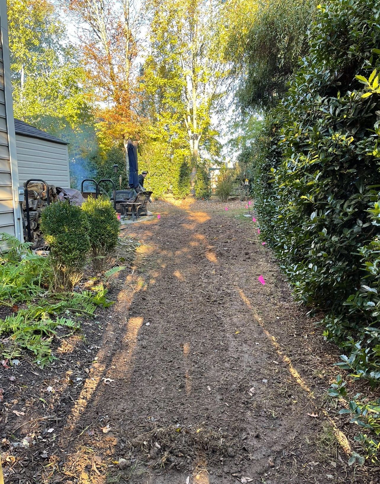 A dirt path leading to a house surrounded by trees and bushes.