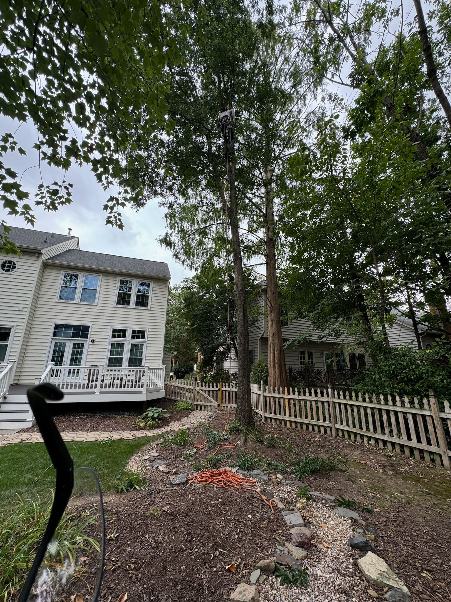 A house with a fence and trees in front of it.