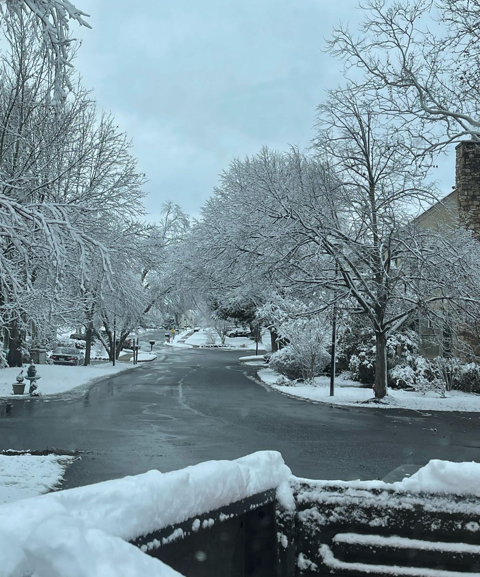 A black and white photo of a snowy street with trees covered in snow