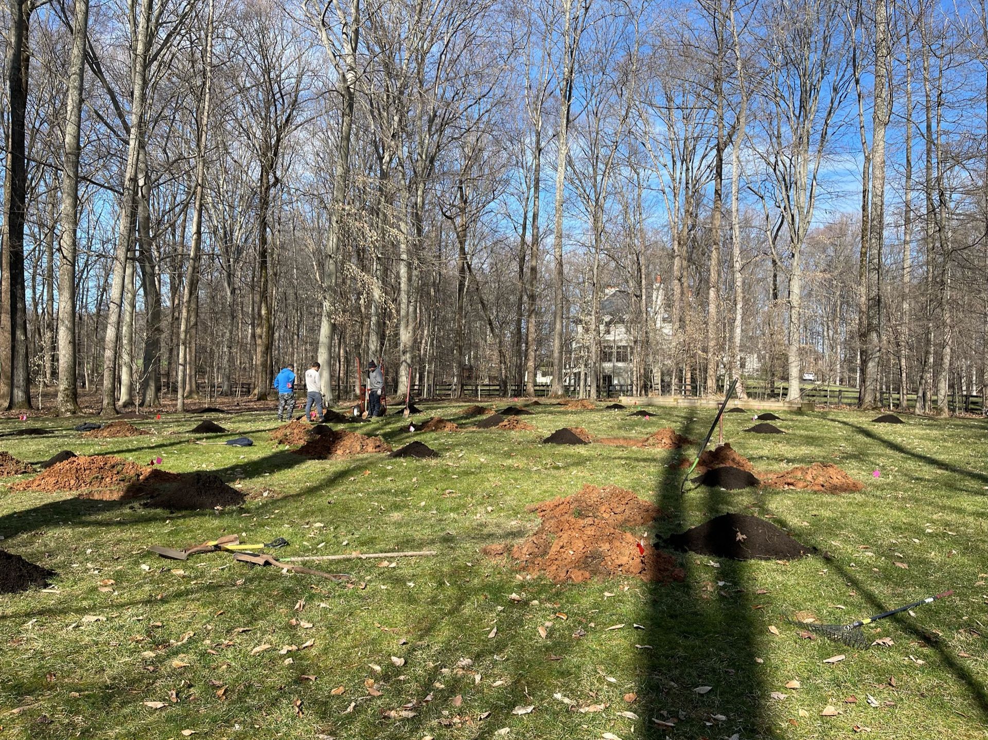 A group of people are standing in a field with trees in the background.