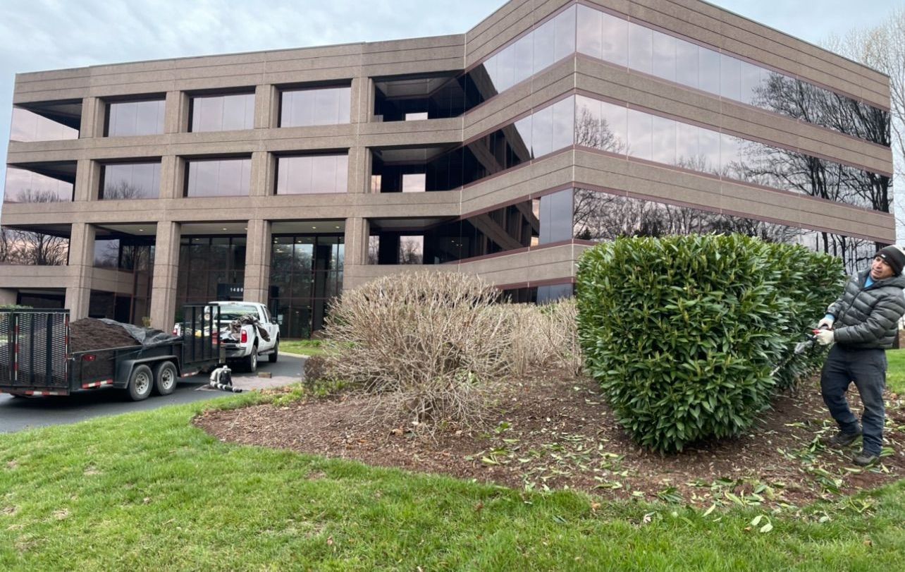 A man is cutting a bush in front of a large building.