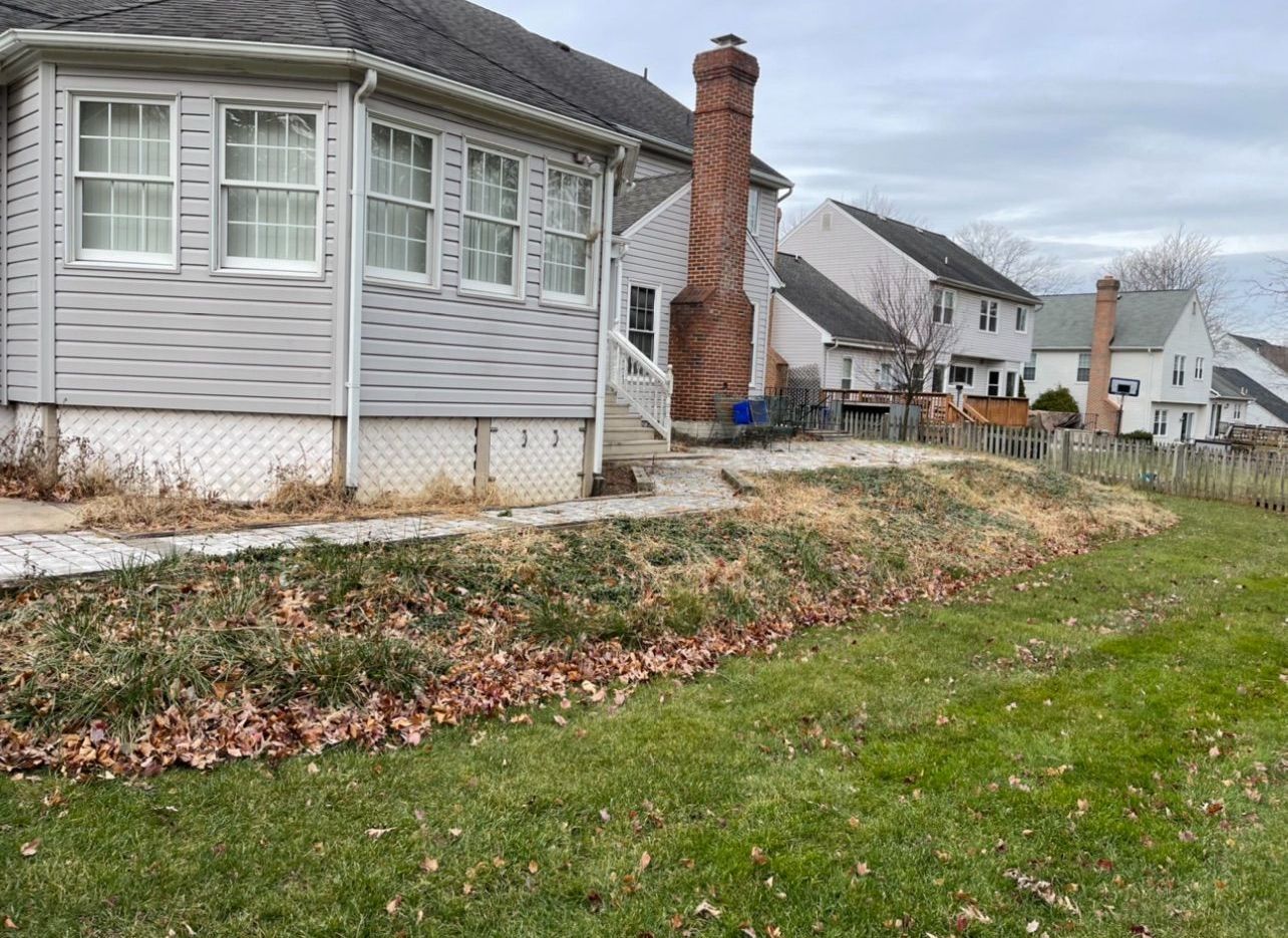 A white house with a brick chimney in the backyard.
