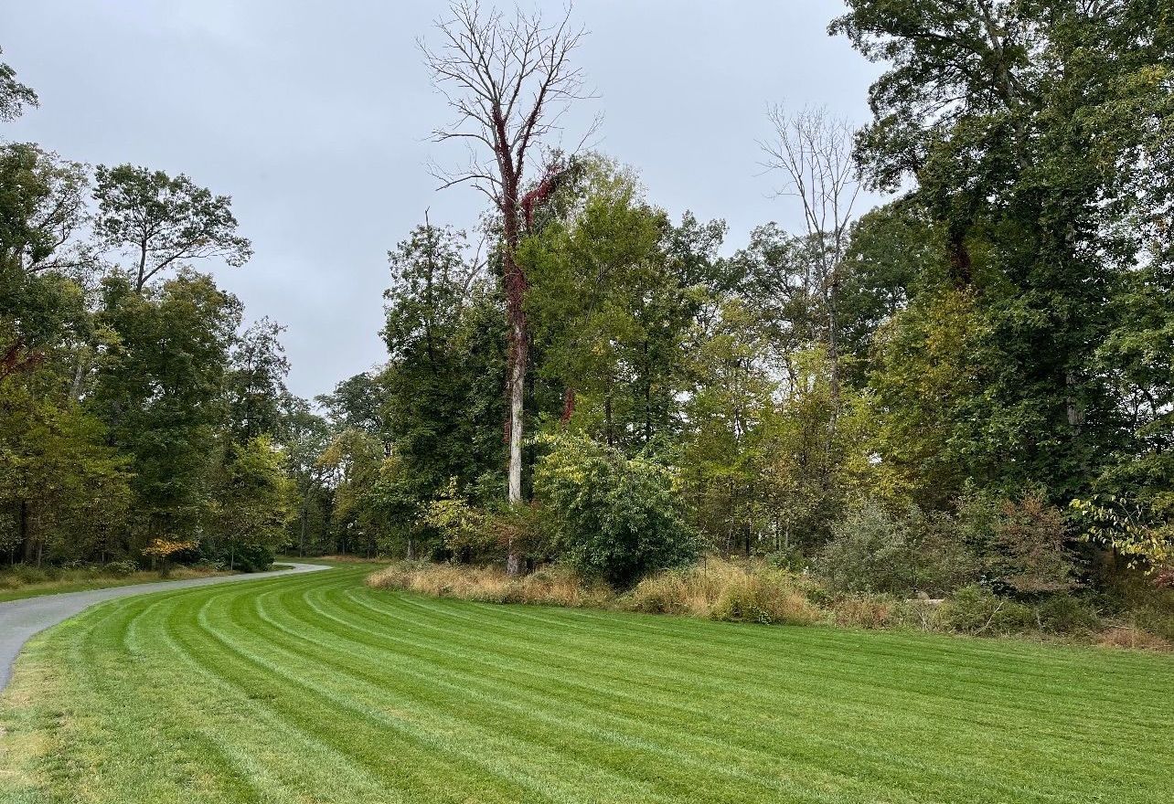 A lush green field surrounded by trees and a road.