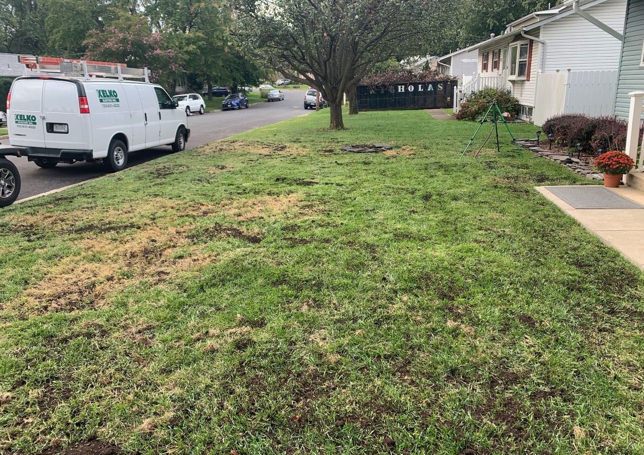 A white van is parked in the grass in front of a house.