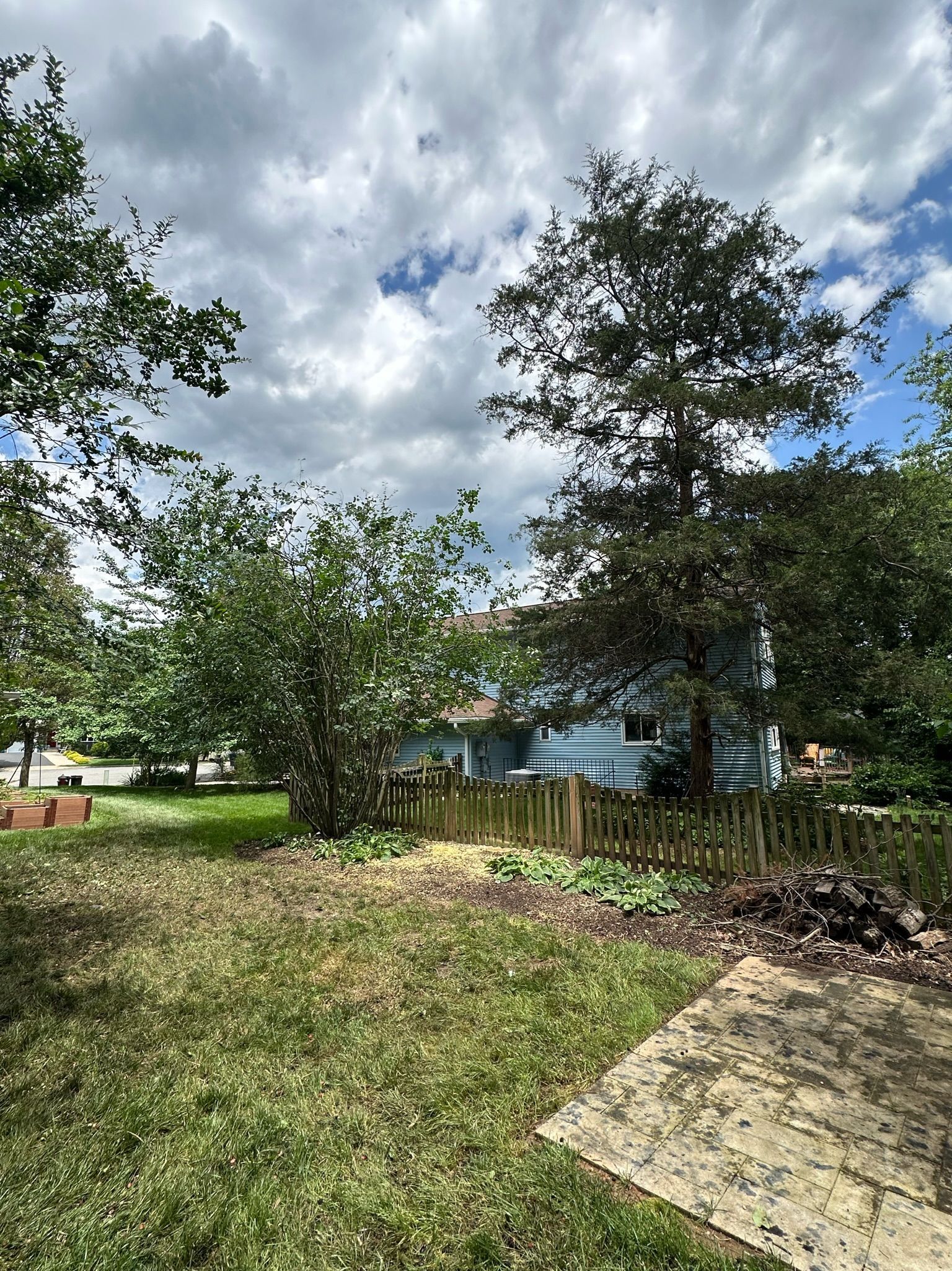 A backyard with trees and a house in the background on a cloudy day.