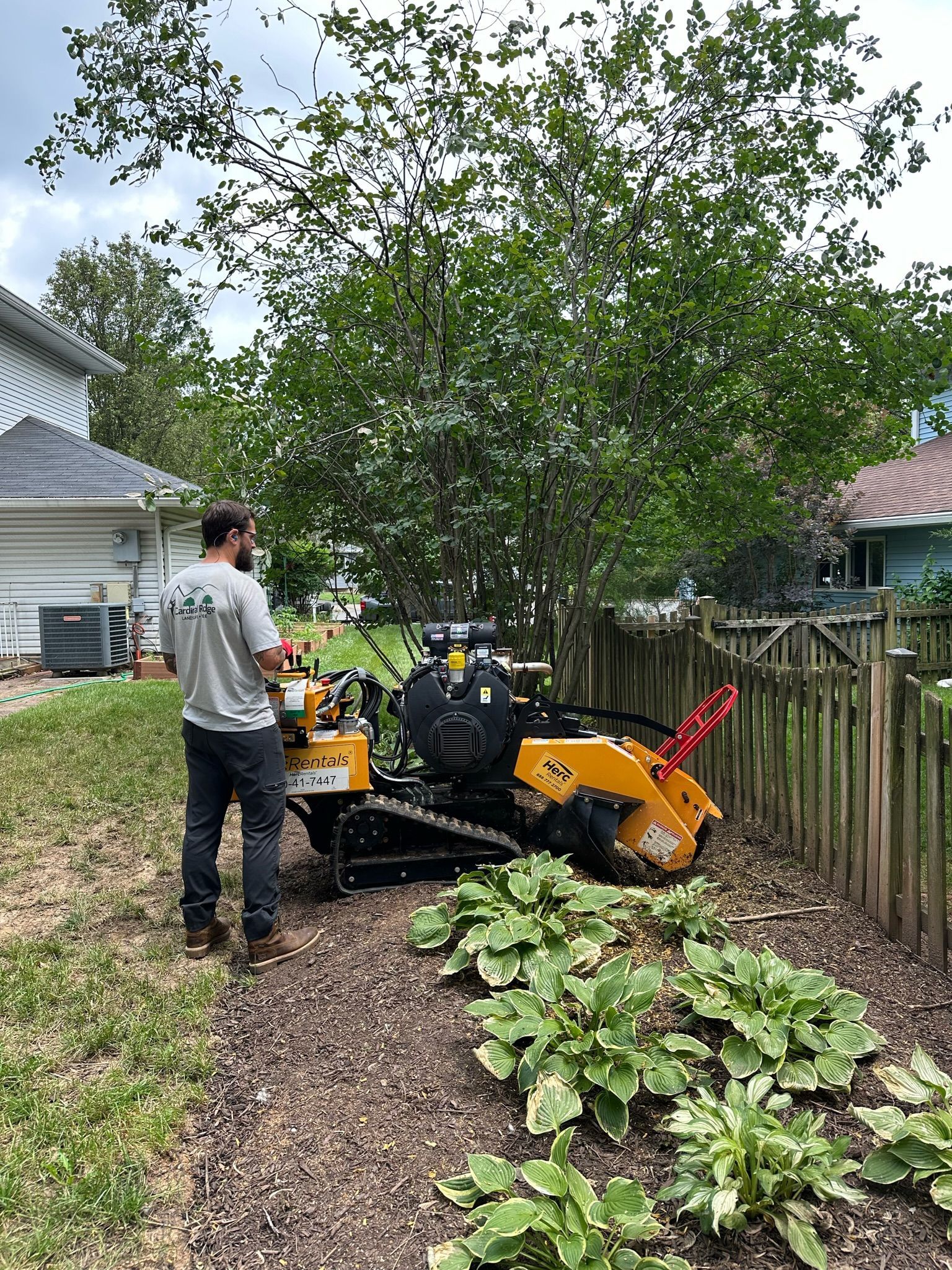 A man is standing next to a tree stump grinder in a yard.