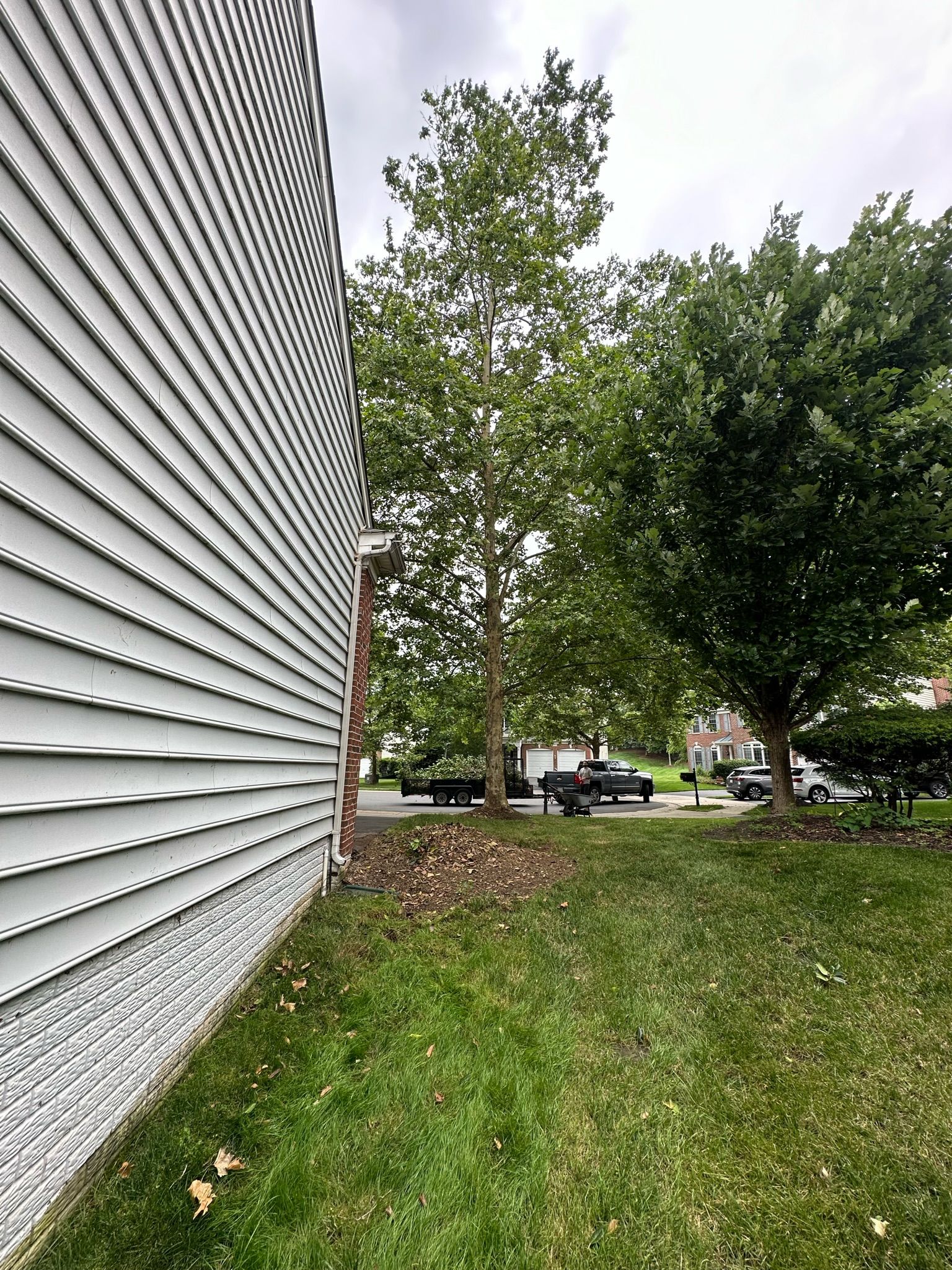 A white building with a fence and trees in front of it.