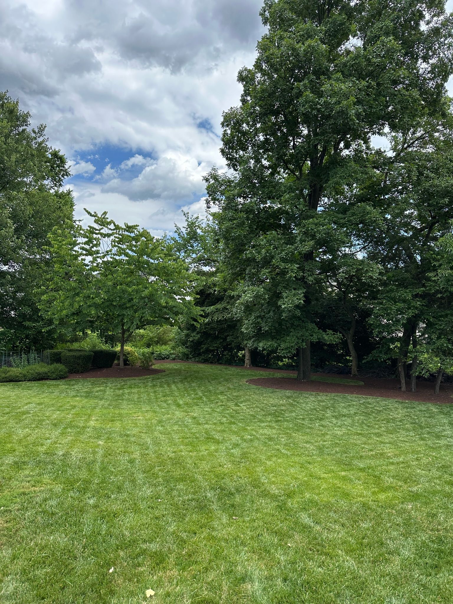A large lush green field surrounded by trees on a cloudy day.