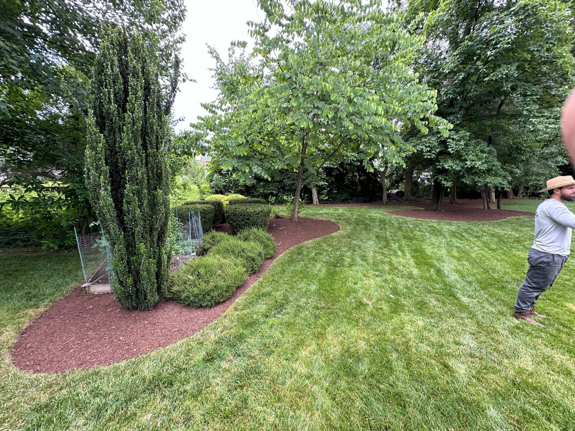 A man is standing in the middle of a lush green lawn.