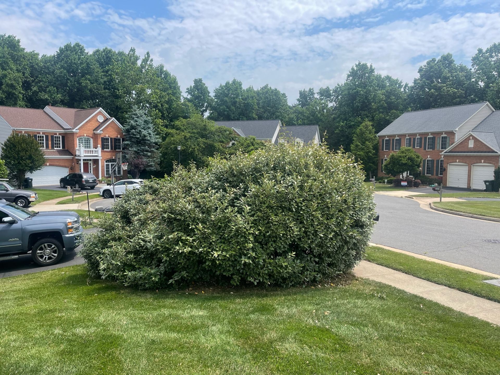 A car is parked in front of a bush in a residential neighborhood.