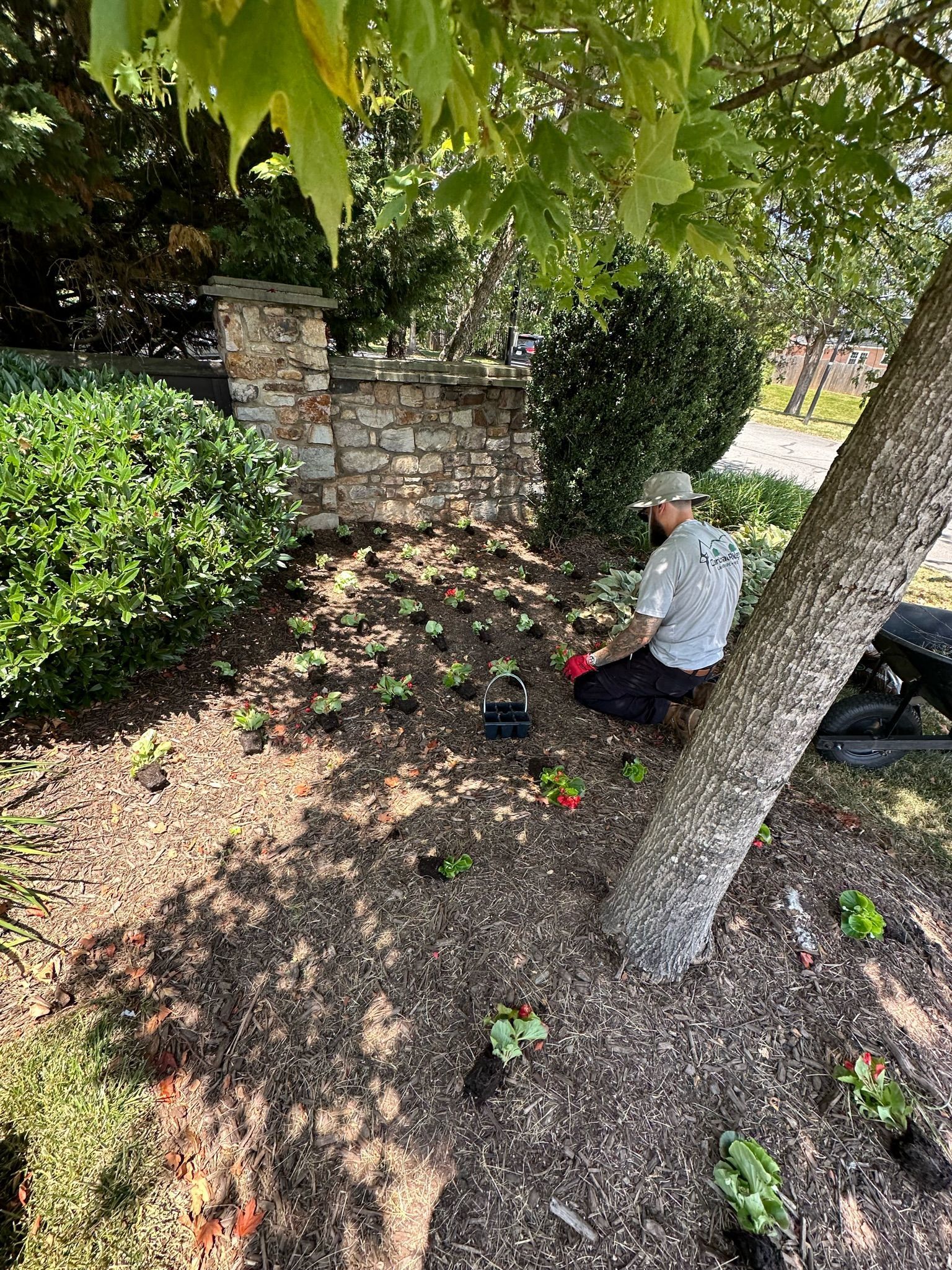 A man is kneeling under a tree in a garden.