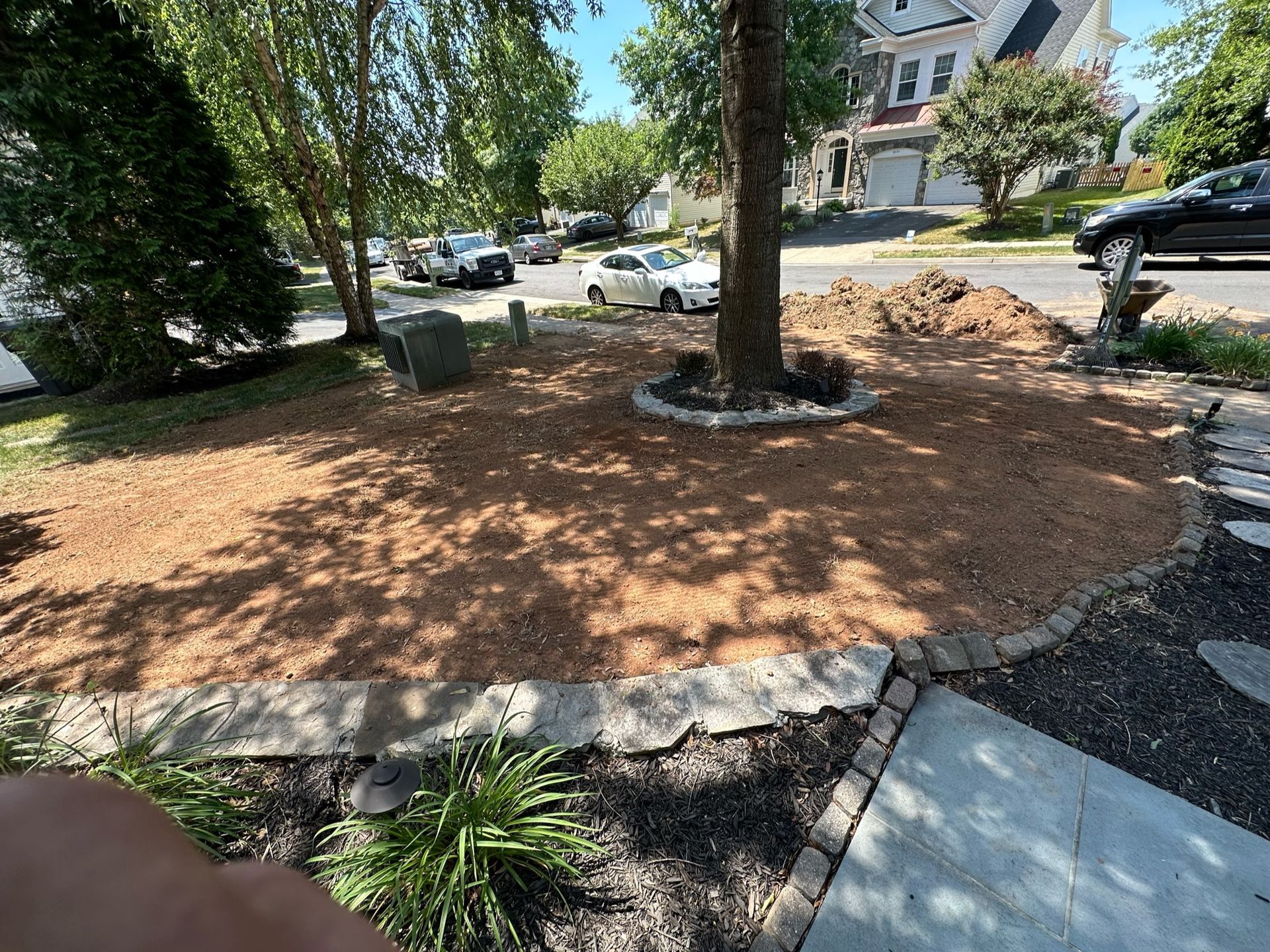 A person is standing in a yard with a tree in the middle of it.