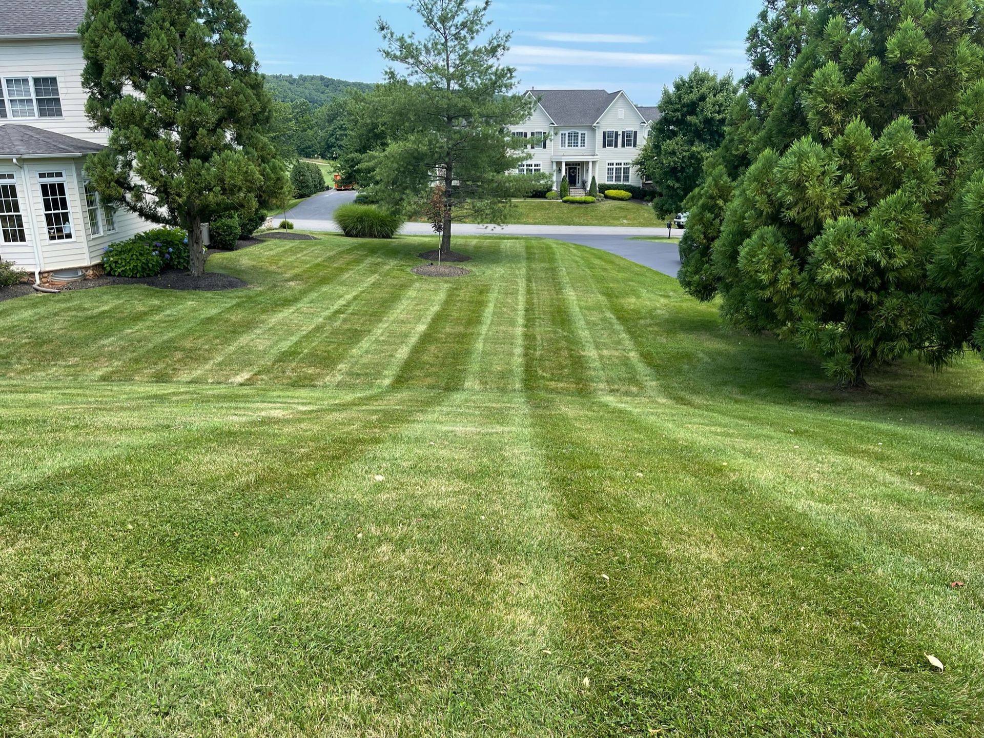 A lush green lawn with a house in the background and trees in the foreground.