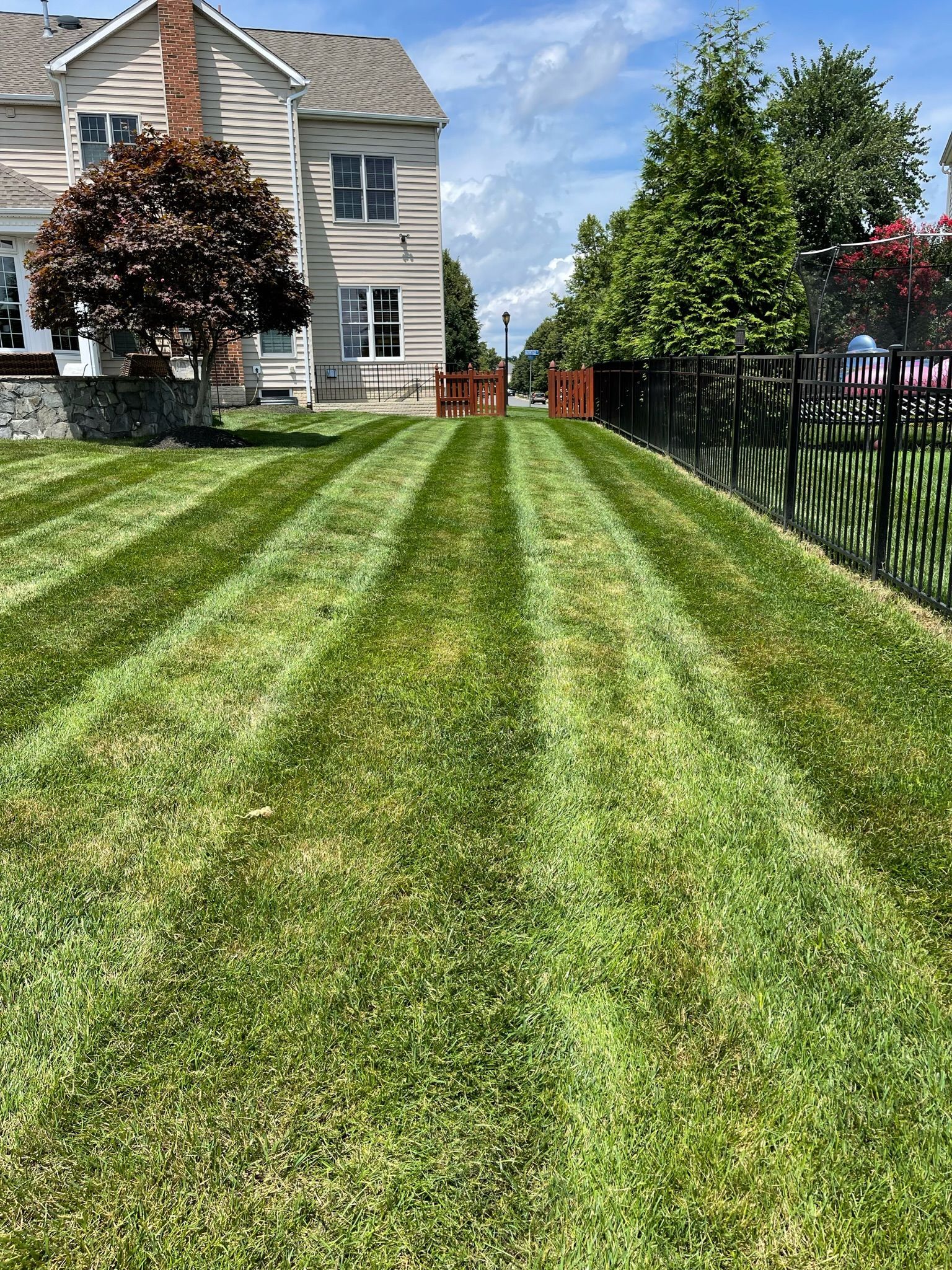 A lush green lawn is being mowed in front of a house.