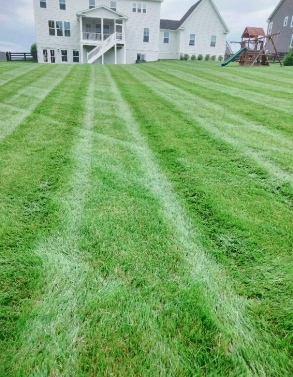 A lush green lawn with white stripes in front of a house.