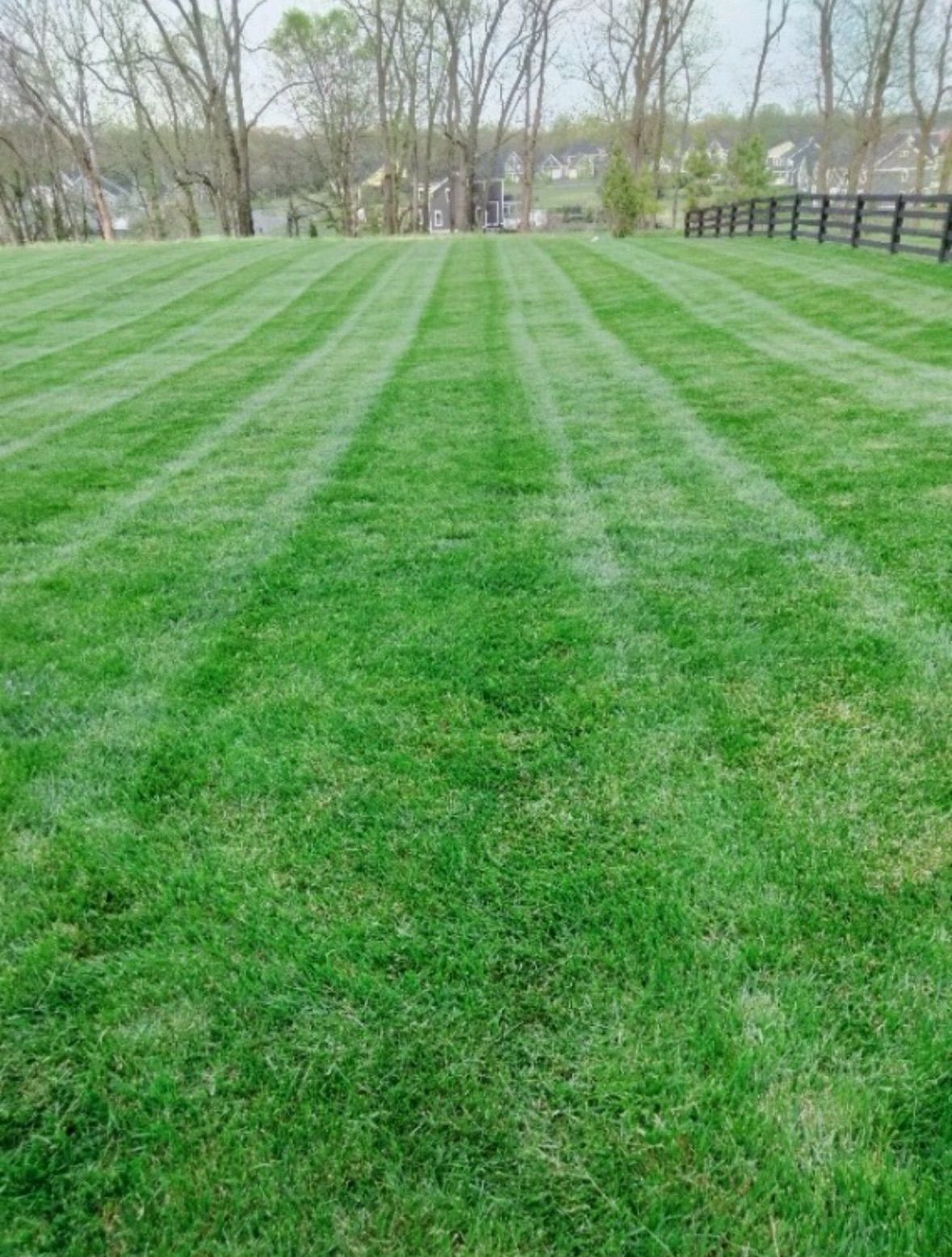 A lush green lawn is being mowed in front of a house.