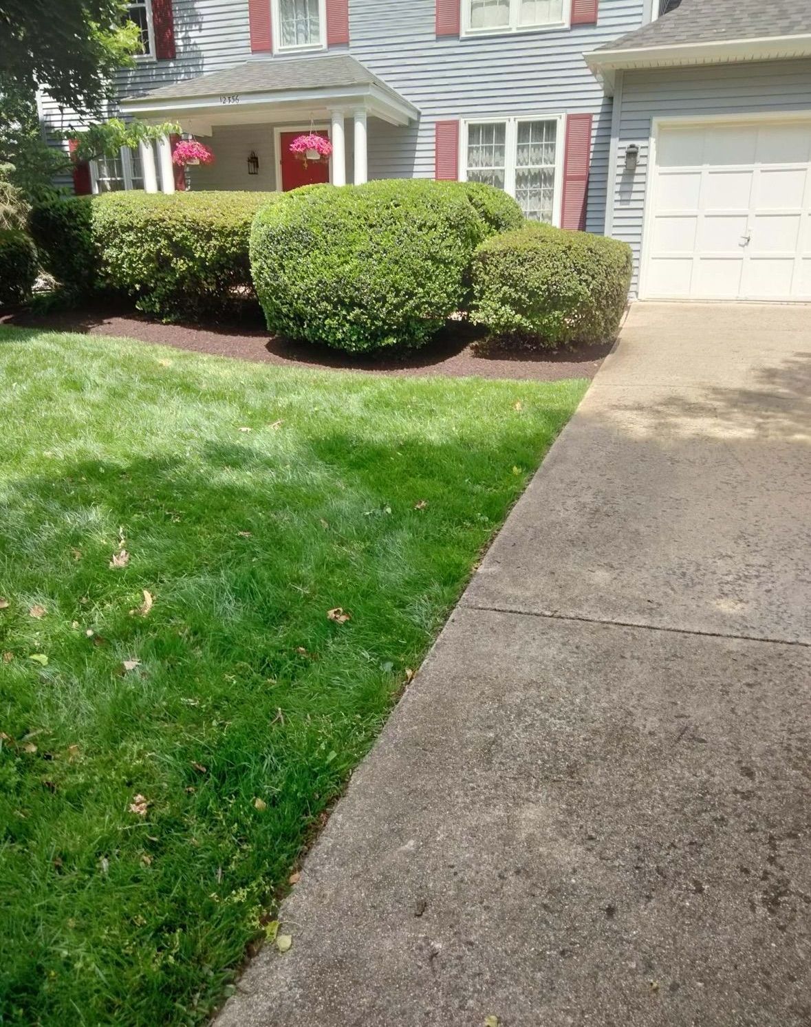 A house with a lush green lawn and a sidewalk in front of it.