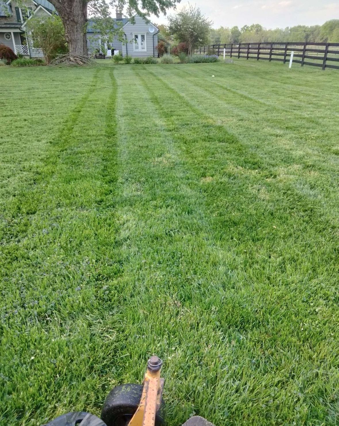 A person is mowing a lush green lawn in front of a house.
