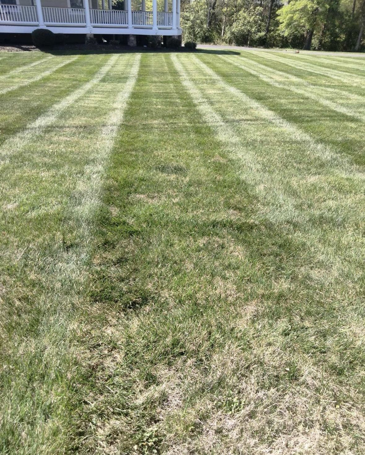A lush green lawn with a gazebo in the background.
