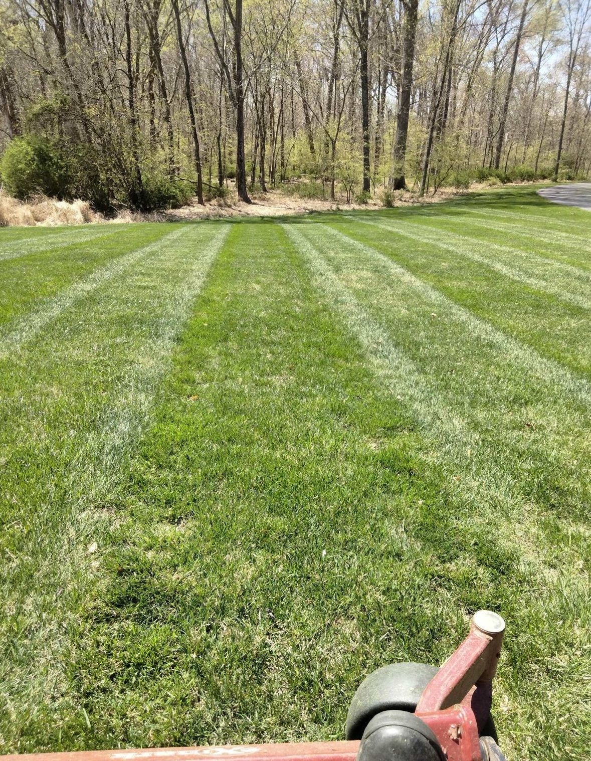 A lawn mower is cutting a lush green lawn with trees in the background.