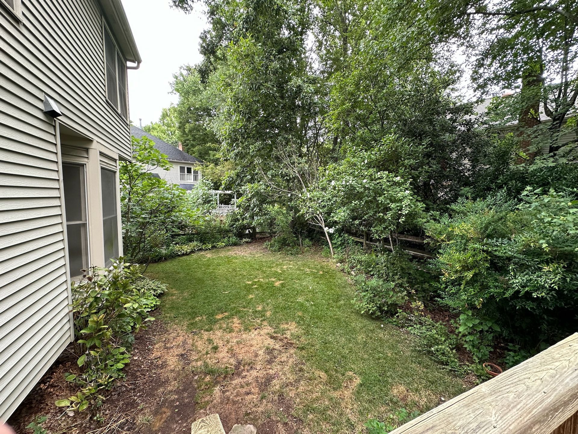 A backyard with a lot of trees and bushes and a house in the background.