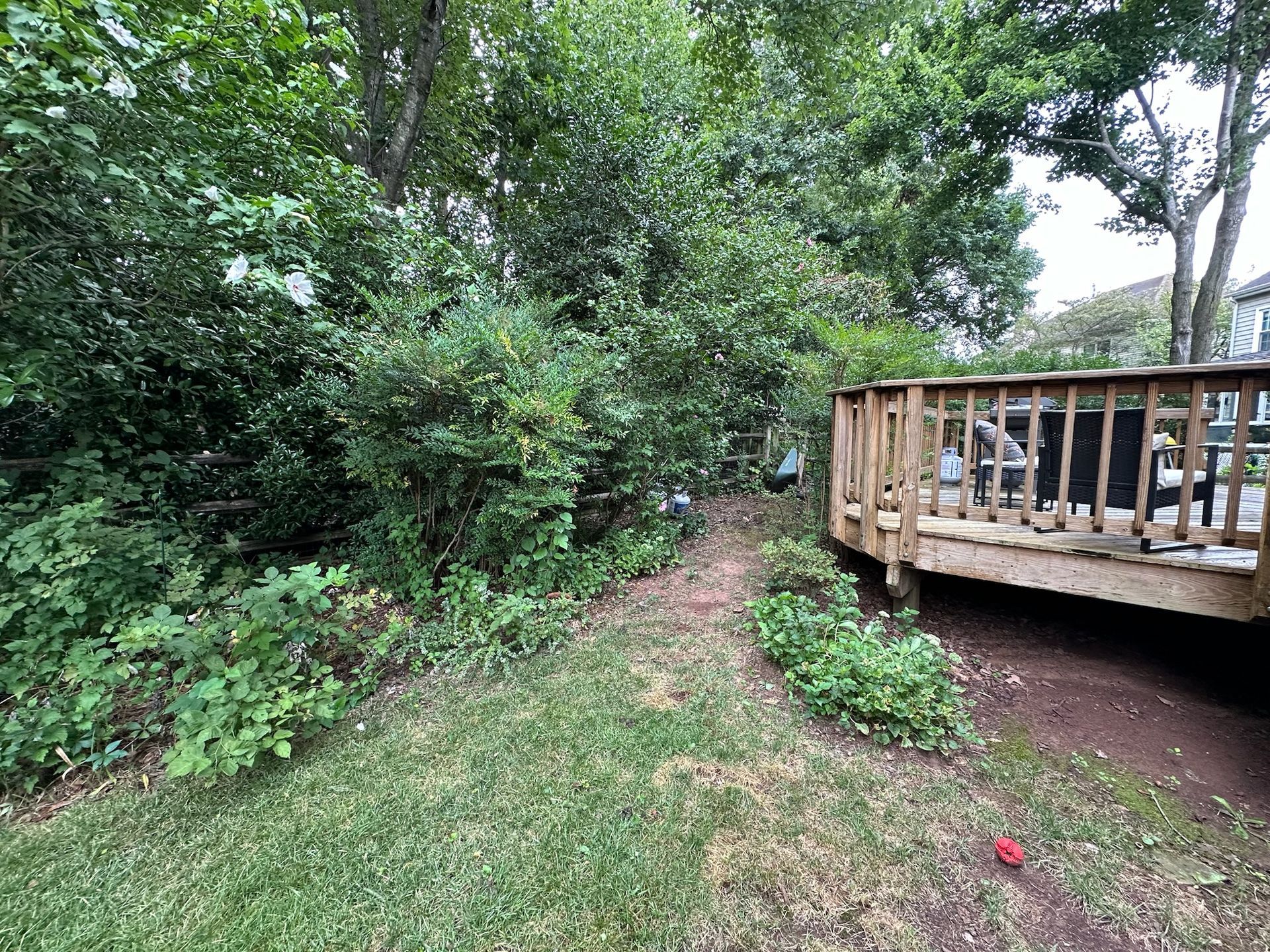 A wooden deck is sitting in the middle of a lush green yard surrounded by trees.