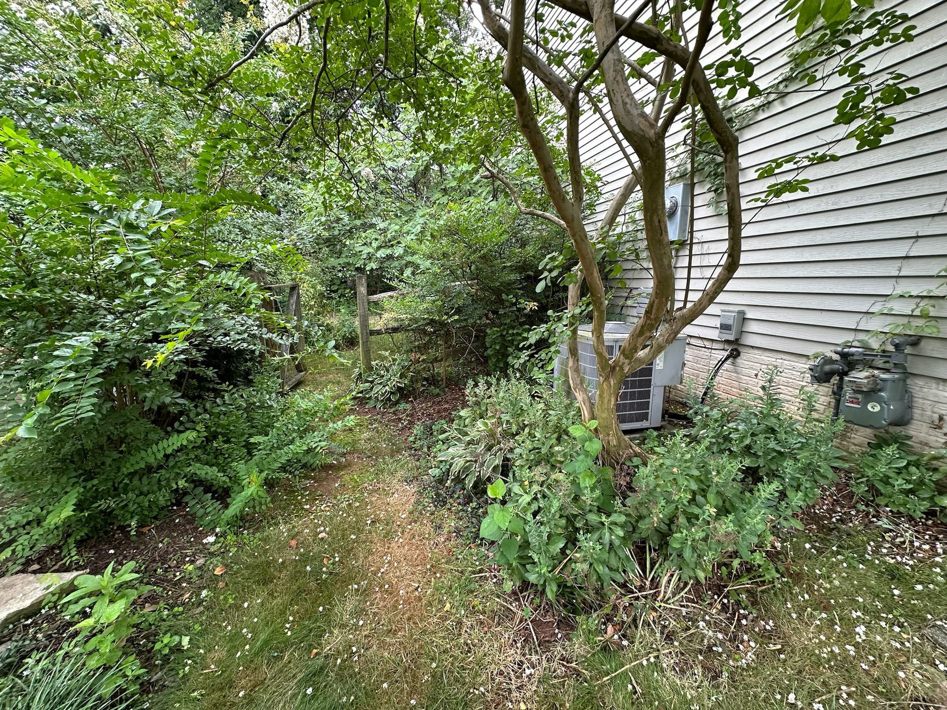 A path leading to a house surrounded by trees and bushes.