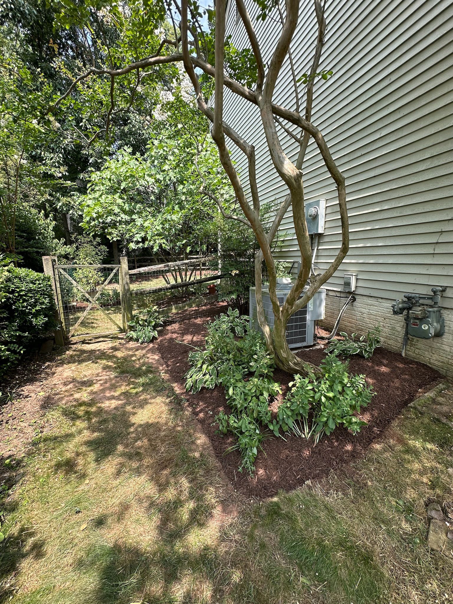 A backyard with a tree and a fence in front of a house.