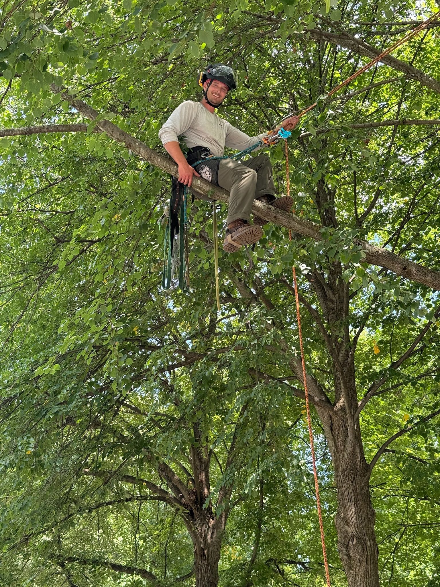 A man is sitting on a branch of a tree.