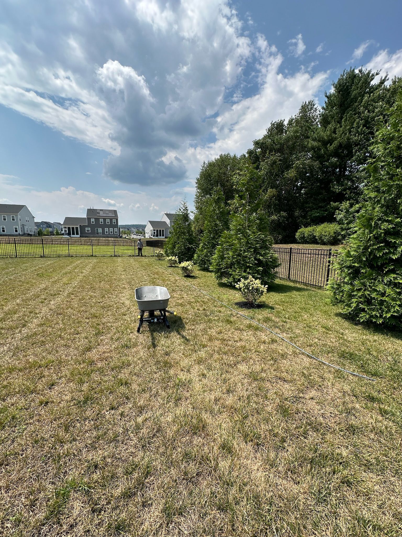 A wheelbarrow is sitting in the middle of a grassy field.